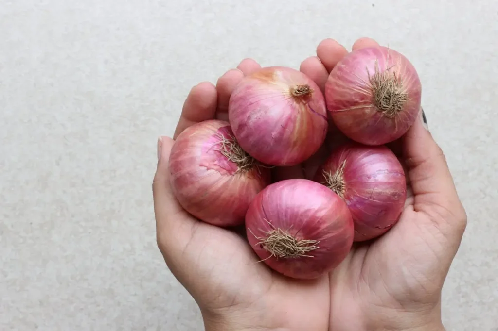 Onion Oil Benefits For Hair Growth,बालों में प्याज का तेल लगाने के फ़ायदे,प्याज का तेल कब ओर कैसे लगाए?,घर पर प्याज का तेल कैसे बनाएं? Onion Oil Benefits For Hair Growth