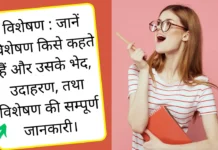 Visheshan in Hindi: जानें विशेषण की परिभाषा, शुद्ध प्रयोग, 4 भेद एवं उदाहरण (Visheshan in Hindi grammar) विशेषण की परिभाषा