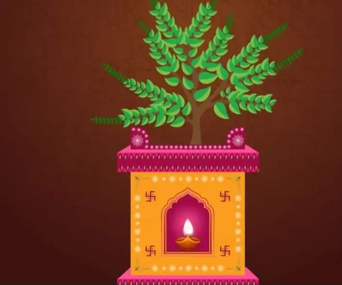 Tulsi Vivah 2024,तुलसी विवाह:,तुलसी विवाह का शुभ मुहूर्त,तुलसी विवाह की विधि,तुलसी विवाह से जुड़ी कहानी Tulsi Vivah 2024