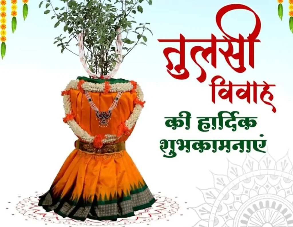 Tulsi Vivah 2024,तुलसी विवाह:,तुलसी विवाह का शुभ मुहूर्त,तुलसी विवाह की विधि,तुलसी विवाह से जुड़ी कहानी Tulsi Vivah