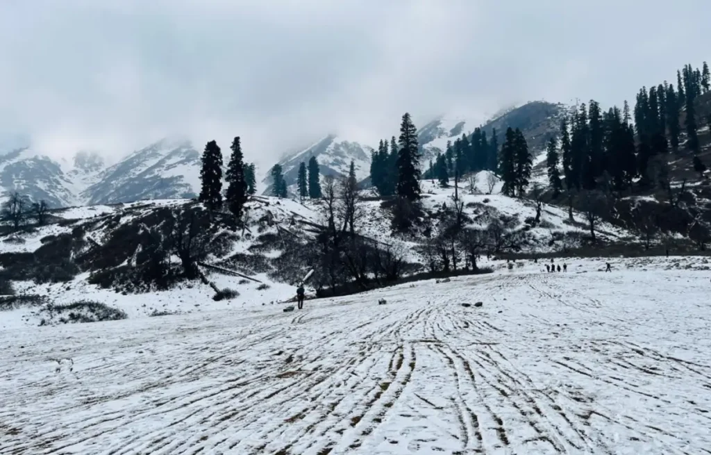 Kashmir Trip Plan In Hindi,Kashmir Trip,कश्मीर में घूमने के लिए स्थान,गुलमर्ग Kashmir Trip Plan In Hindi