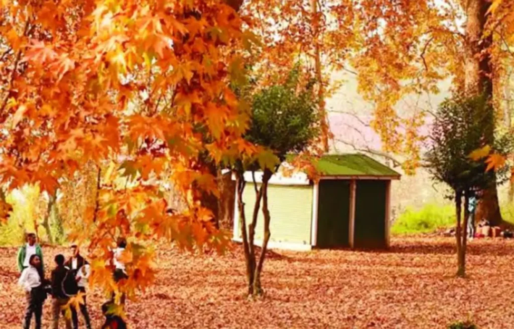 Top 5 Tourist Places In India,Tourist Places In India Top 5 Tourist Places In India