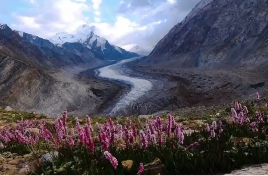 Top 5 Tourist Places In India,Tourist Places In India Top 5 Tourist Places In India