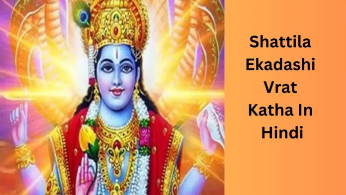 Shattila Ekadashi Vrat Katha In Hindi
