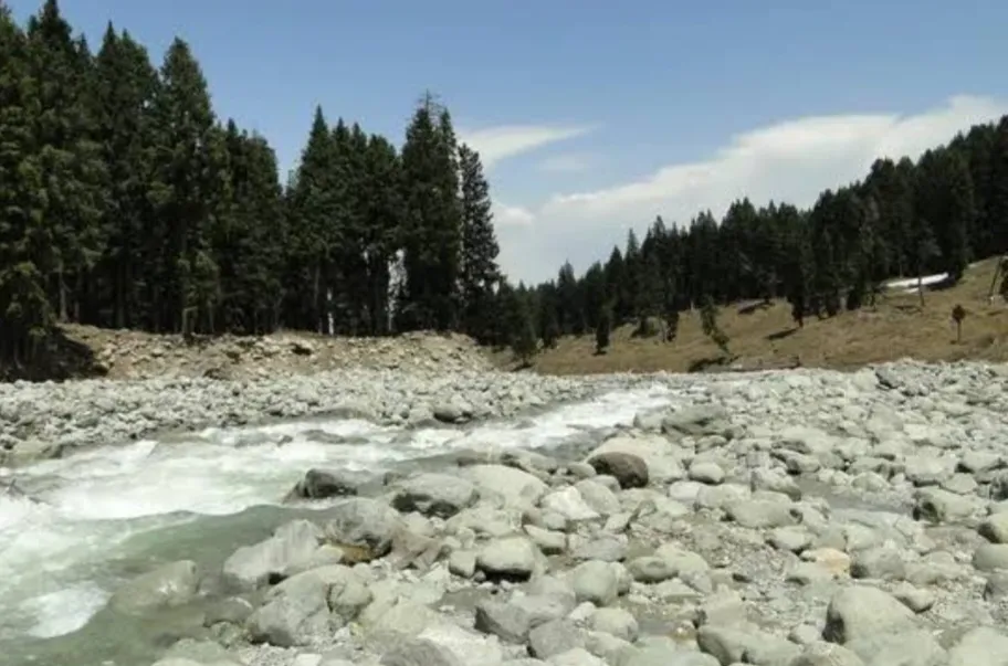 श्रीनगर की सैर,श्रीनगर,डल झील: श्रीनगर की सैर