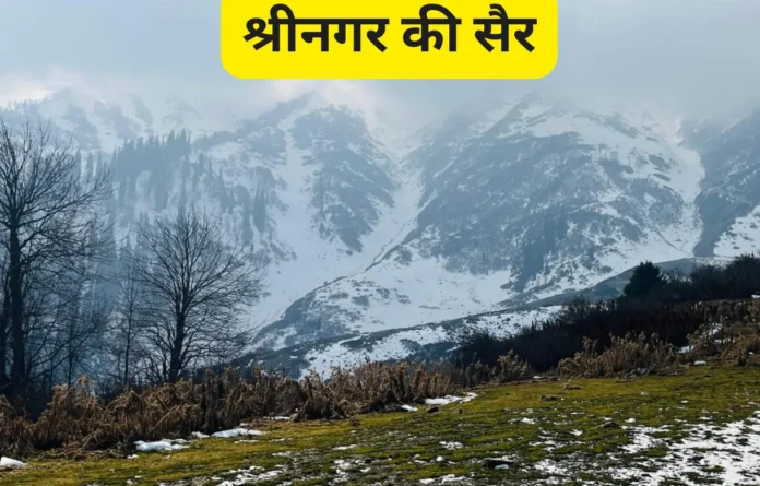 श्रीनगर की सैर