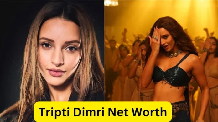 Tripti Dimri Net Worth