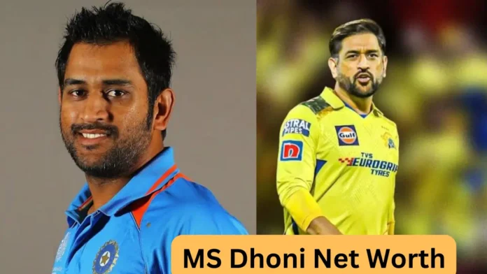 MS Dhoni Net Worth