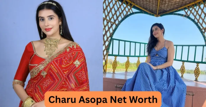 Charu Asopa Net Worth