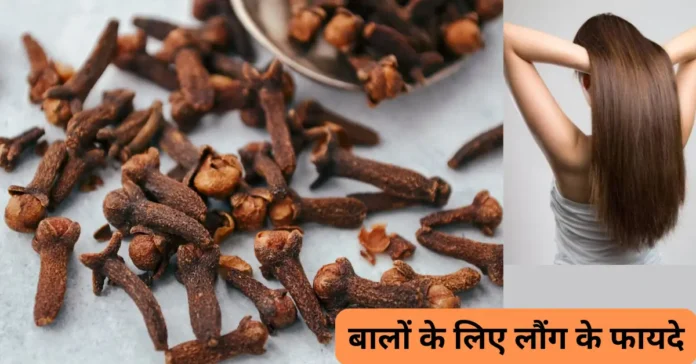 बालों के लिए लौंग के फायदे