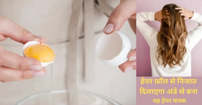 हेयर फ़ॉल से निजात दिलाएगा अंडे से बना यह हेयर मास्क